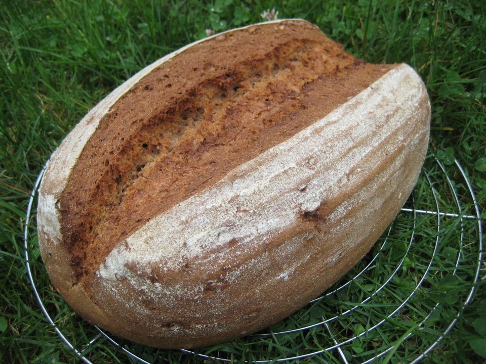 Brot backen backstein Rezepte | Chefkoch.de