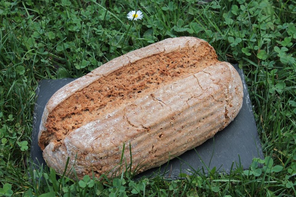 Buchweizen-Dinkel-Vollkornbrot mit Sauerteig von patty89 | Chefkoch.de