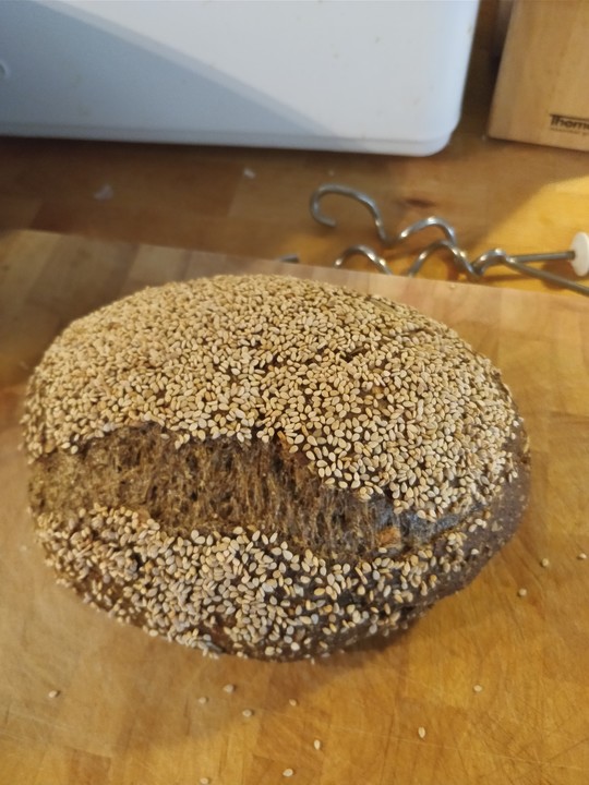 Low-Carb Brot - mein Bestes von küchen_zauber | Chefkoch.de