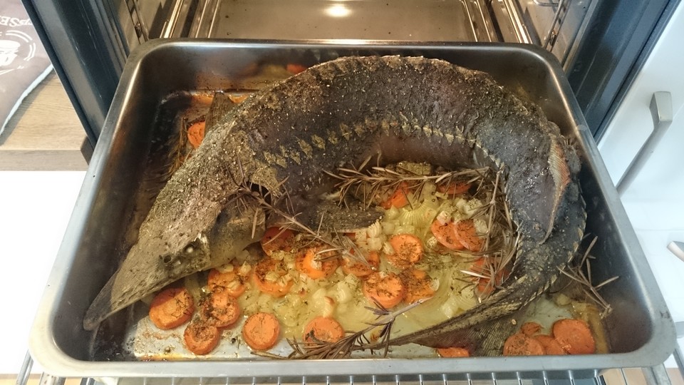 Stör im Ofen gebacken von LI-Smutje | Chefkoch.de