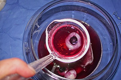 Glubschaugenbowle