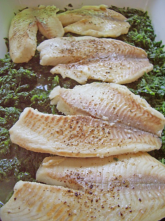 Seelachsfilet auf Blattspinat