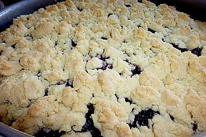 Apfel - Streuselkuchen mit Pudding 47