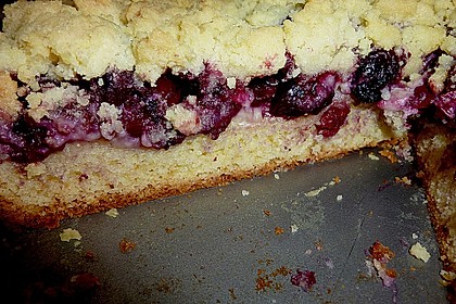 Apfel - Streuselkuchen mit Pudding 42