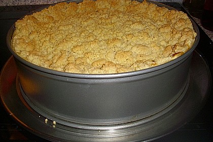 Apfel - Streuselkuchen mit Pudding 43
