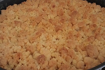 Apfel - Streuselkuchen mit Pudding 23