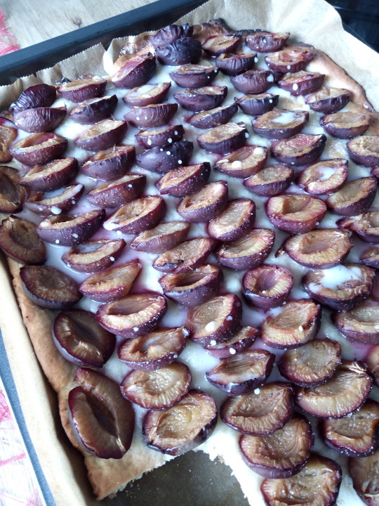 Zwetschgenkuchen mit Quarkölteig von schrat | Chefkoch.de