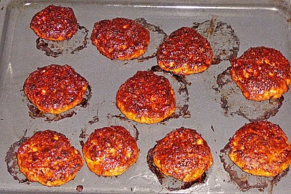Hackfleisch - Möhren - Frikadellen 19