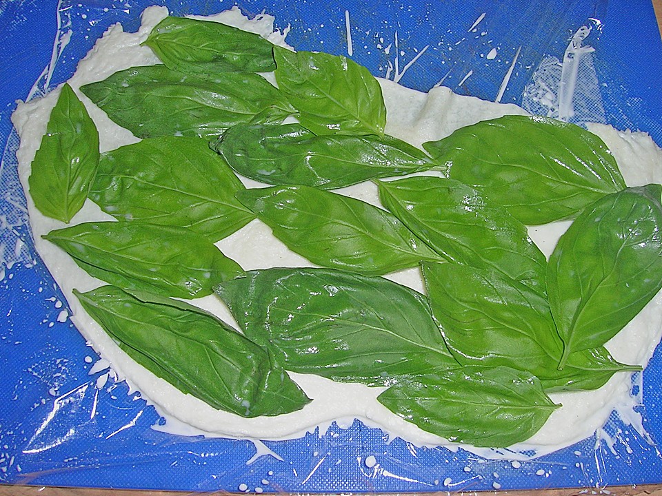 Mozzarella - Röllchen mit Lachs auf Rauke von Knopf3 | Chefkoch.de