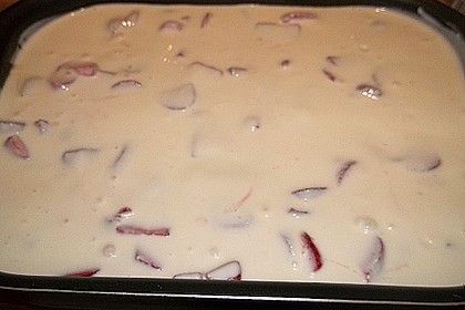 Erdbeertiramisu 106