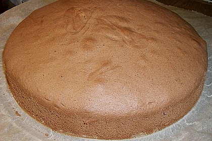Biskuitteig hell oder dunkel 221