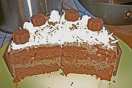 Biskuitteig hell oder dunkel 229