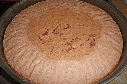 Biskuitteig hell oder dunkel 365