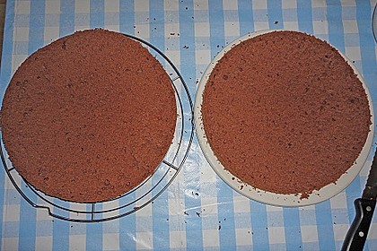 Biskuitteig hell oder dunkel 219