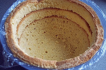 Biskuitteig hell oder dunkel 181