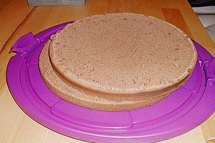 Biskuitteig hell oder dunkel 217
