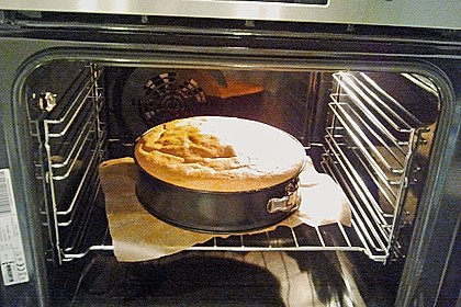 Biskuitteig hell oder dunkel 263