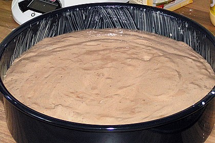 Biskuitteig hell oder dunkel 351