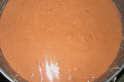 Biskuitteig hell oder dunkel 442