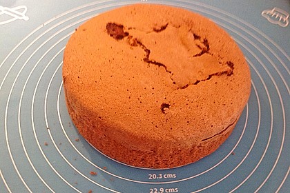 Biskuitteig hell oder dunkel 329