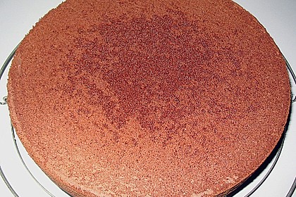 Biskuitteig hell oder dunkel 184