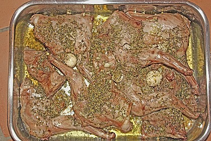 Kaninchen ligurisch 7