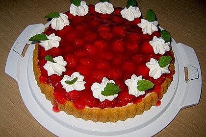 Erdbeerkuchen 20