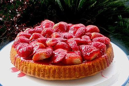 Erdbeerkuchen 31