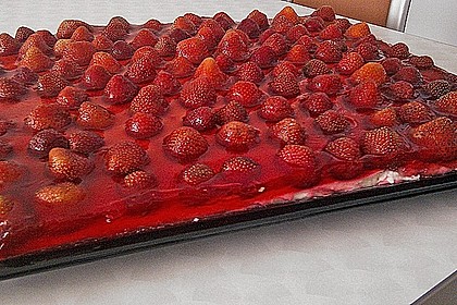 Erdbeerkuchen 79