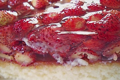 Erdbeerkuchen 91