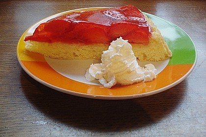 Erdbeerkuchen 17