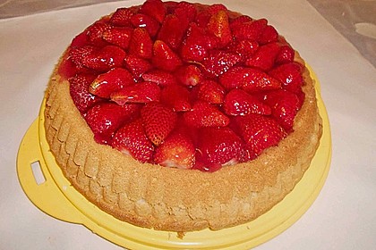 Erdbeerkuchen 22