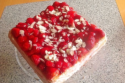 Erdbeerkuchen 47