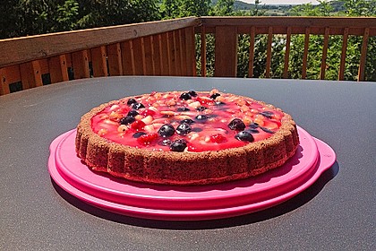 Erdbeerkuchen 12