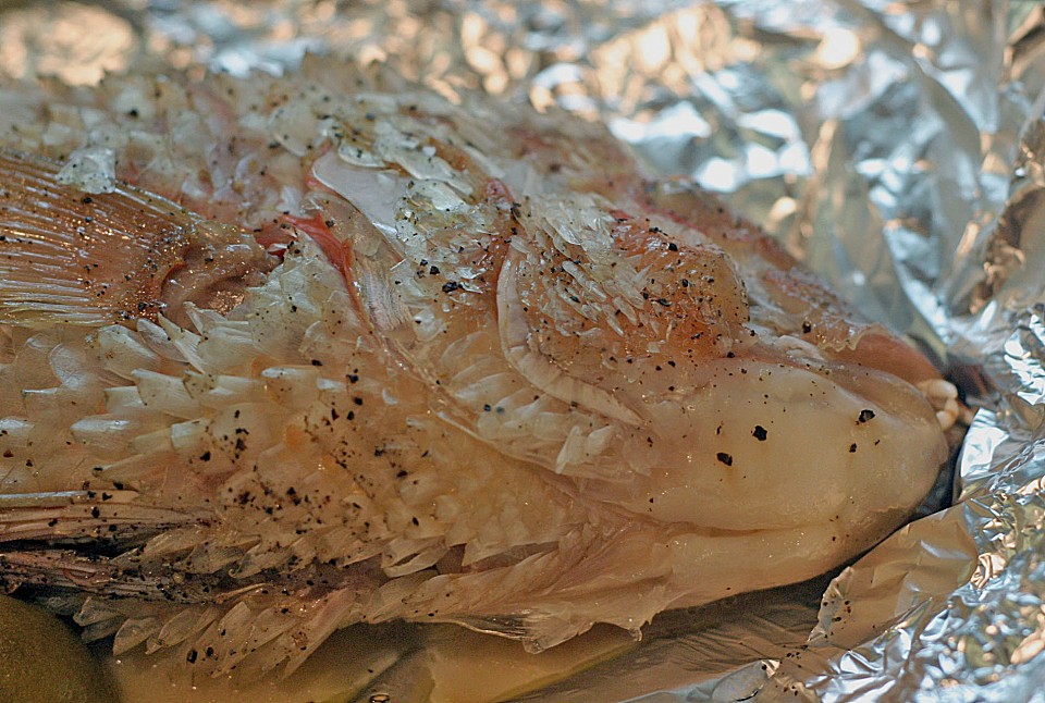 Papageienfisch mit Süßkartoffelauflauf von Aliena | Chefkoch.de