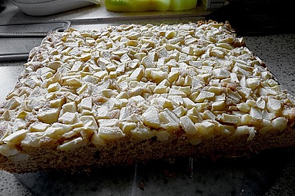 Apfelkuchen 4