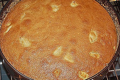 Apfelkuchen 18