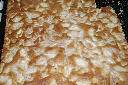 Apfelkuchen 15