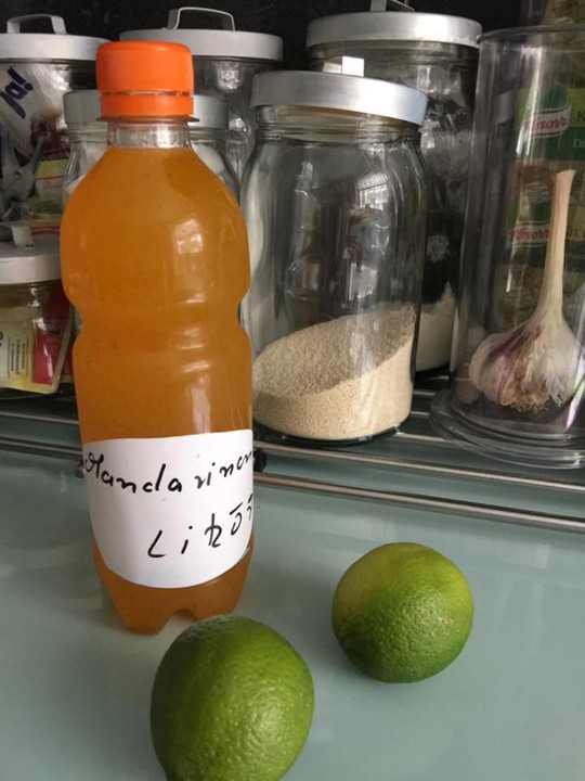 Mandarinen - Rum Likör von HeikeV | Chefkoch.de