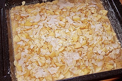 Apfel - Buttermilch - Kuchen 4