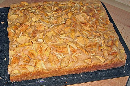 Apfel - Buttermilch - Kuchen 13