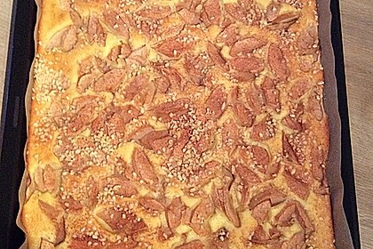 Apfel - Buttermilch - Kuchen 18