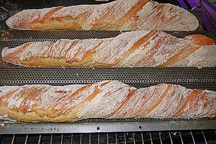 Gedrehtes Baguette à la Karin 16