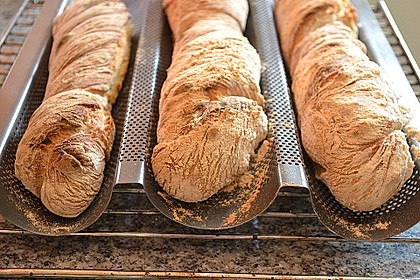 Gedrehtes Baguette à la Karin 35