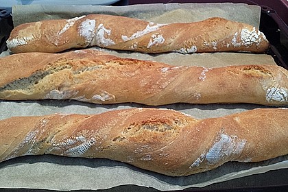 Gedrehtes Baguette à la Karin 47