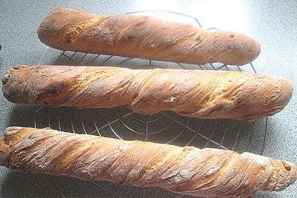 Gedrehtes Baguette à la Karin 102