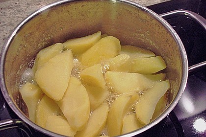 Kartoffelpüree 42