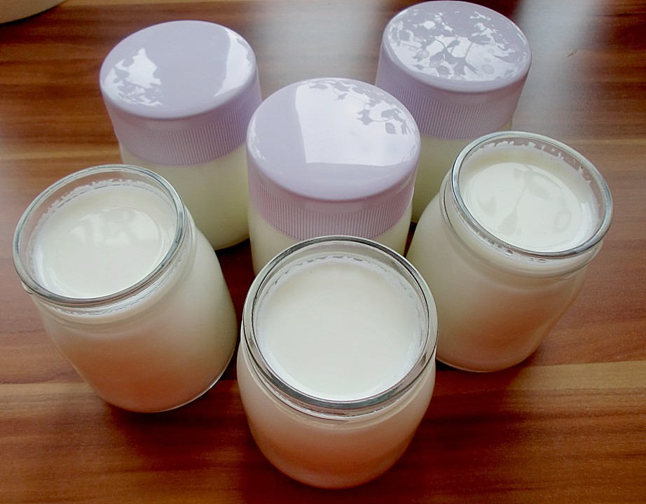 Joghurt - selbst gemacht von radkon | Chefkoch.de