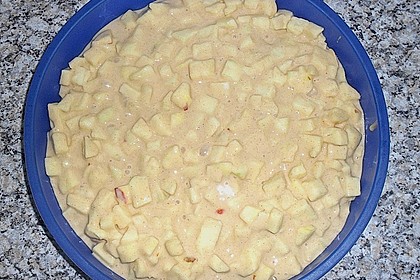 Türkischer Apfelkuchen 38