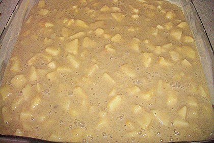 Türkischer Apfelkuchen 54
